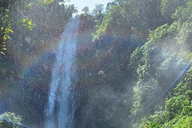 Materuni Waterfalls, Visiting Chagga Village, CoffeeTour Kikuletwa Hotsprings - Learning coffee the Chagga way