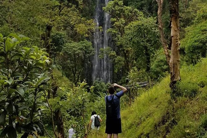 Materuni Waterfalls, Visiting Chagga Village, CoffeeTour Kikuletwa Hotsprings - Banana beer, lunch, and Chagga hospitality