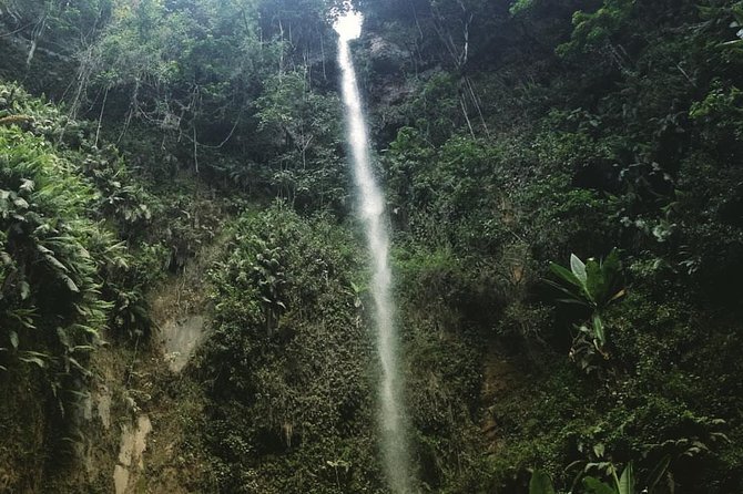 Meru waterfalls, forest walking & canoeing at lake duluti - Why this Arusha day trip works so well