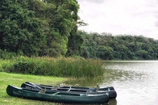 Meru waterfalls, forest walking & canoeing at lake duluti - Canoeing on Lake Duluti and the birdlife