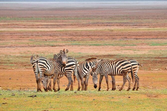 MIKUMI NATIONAL PARK - 3 Days - Wildlife, photography, and safari expectations