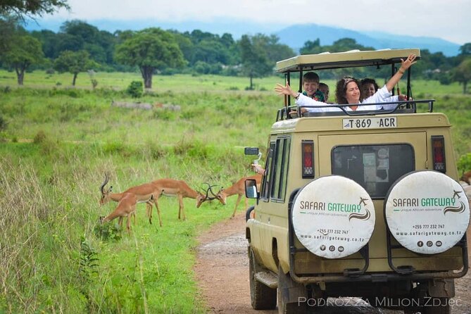 Mikumi Safari Tour: Day Trip Return Flight From Zanzibar - What the game drive is likely to feel like