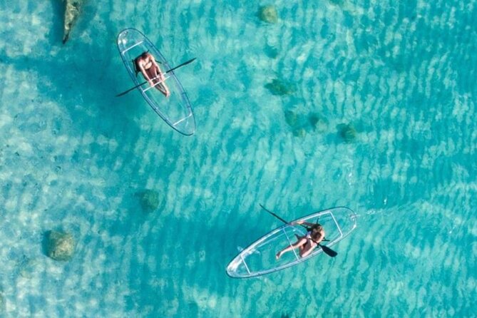 Mnemba Dolphin Tour, Clear Kayak, Cooking Class, Horse Riding - Shabuta Spice Farm: the day’s most useful lesson