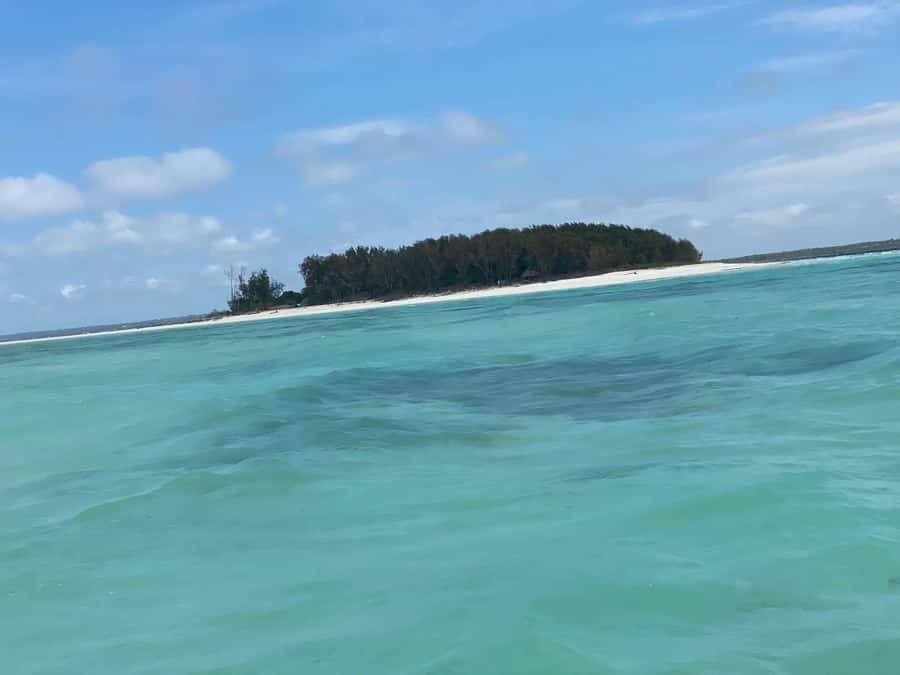 MNEMBA DOLPHIN TOUR, THE LAGOON AQUARIUM & KENDWA BEACH - Transport, guides, and group size