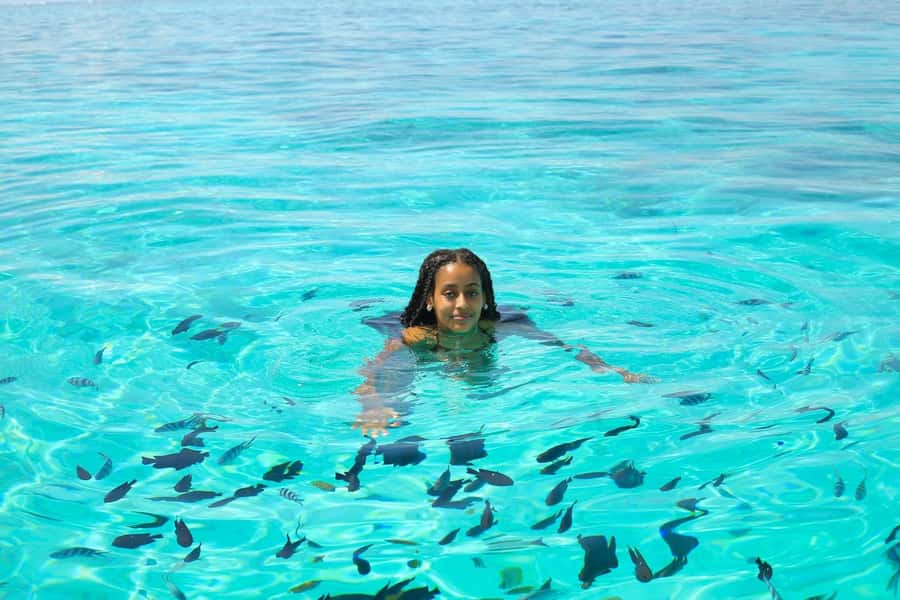 MNEMBA DOLPHIN TOUR, THE LAGOON AQUARIUM & KENDWA BEACH - Who should book this experience