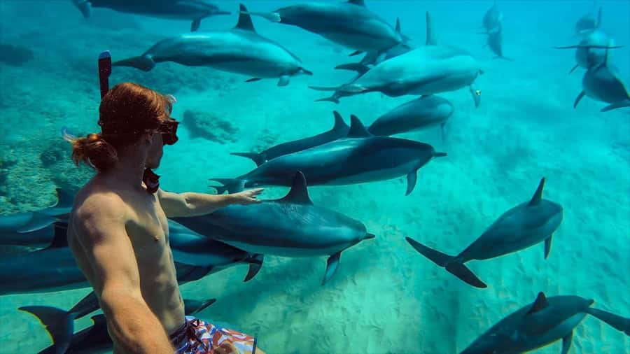 MNEMBA DOLPHIN TOUR, THE LAGOON AQUARIUM & KENDWA BEACH - The Lagoons Zanzibar in Nungwi