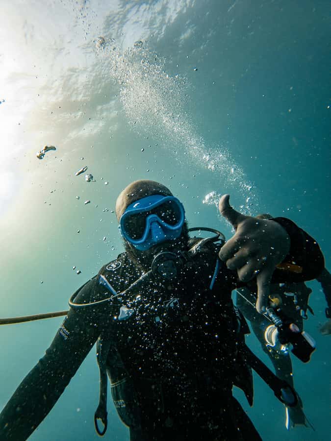 Mnemba Island: Dolphin & Snorkeling Trip with Lunch - Key points to know before you go