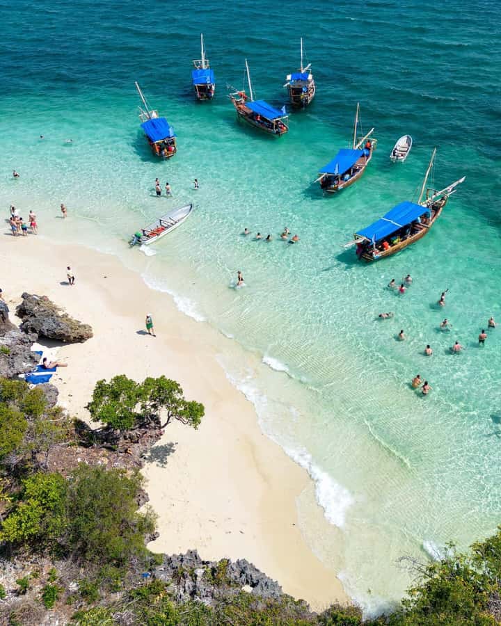 Mnemba Island: Dolphin & Snorkeling Trip with Lunch - What this Mnemba outing is really like