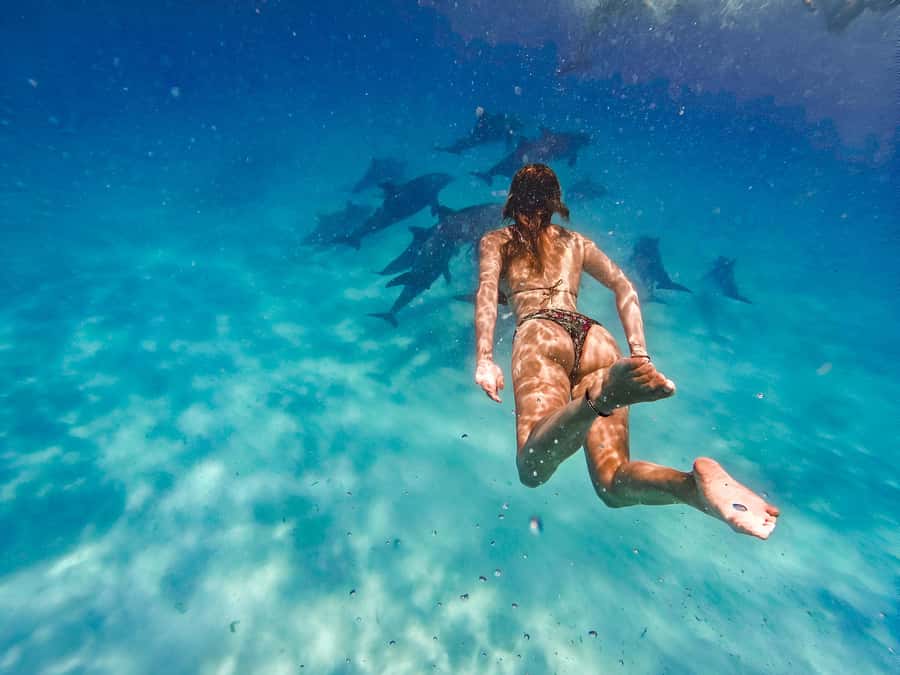 Mnemba Island: Dolphin Swim & Snorkeling with Optional Lunch - Getting to Muyuni Beach without confusion