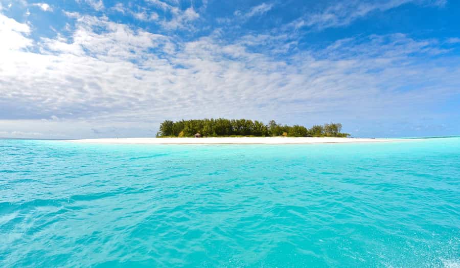 Mnemba island Dolphin tour, snorkeling with options of lunch - Key points before you book