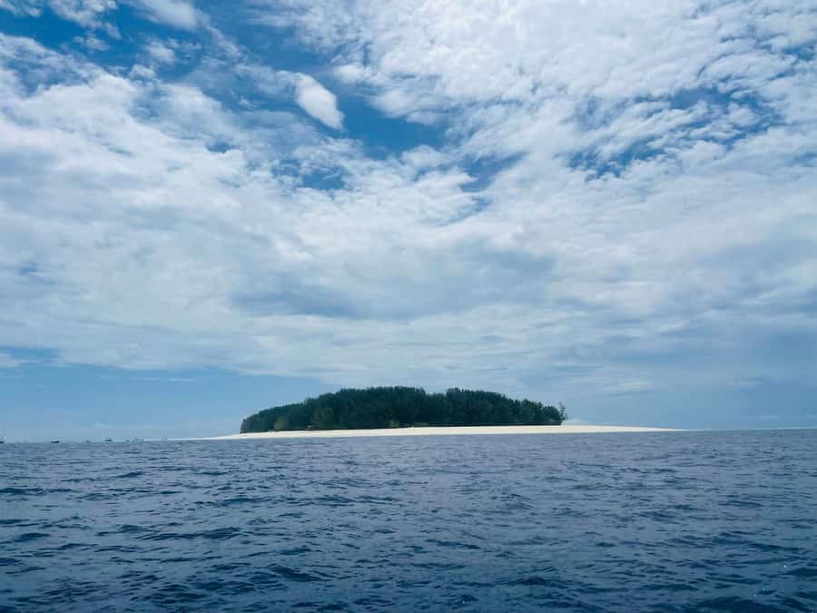 Mnemba island Dolphin tour, snorkeling with options of lunch - Watching dolphins near Mnemba Island