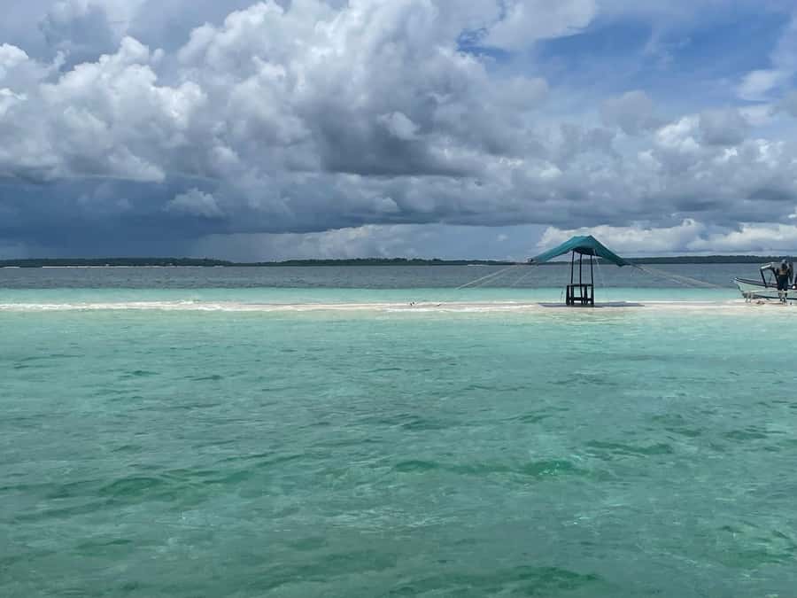 Mnemba island Dolphin tour, snorkeling with options of lunch - Is $90 a fair price?
