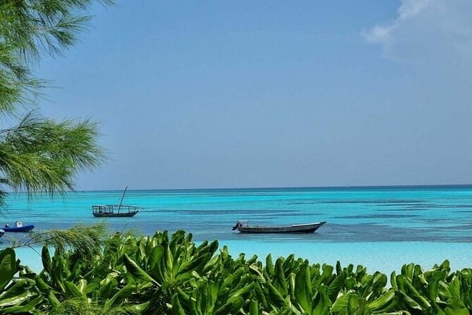 Mnemba Island Half Day Live Aquarium With Transfer - Zanzibar - What to Know Before You Book