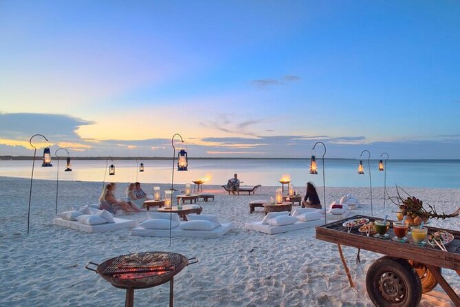 Mnemba Island Half Day Live Aquarium With Transfer - Zanzibar - Dolphin Watching: A Pleasant Extra