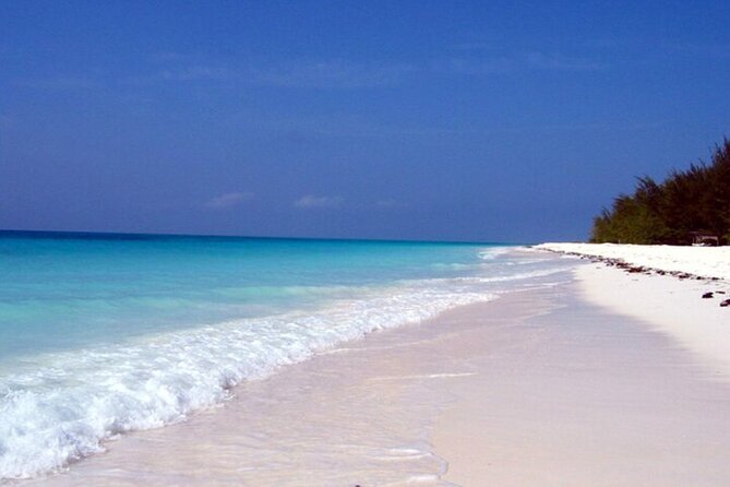 Mnemba Island Half Day Live Aquarium With Transfer - Zanzibar - How Much Value Do You Get for $46?