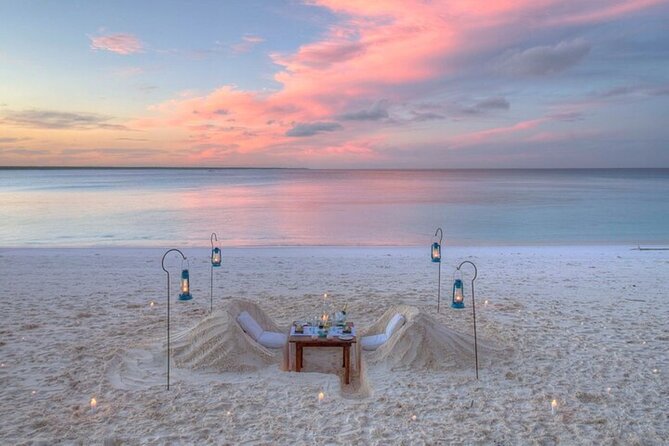 Mnemba Island Half Day Live Aquarium With Transfer - Zanzibar - Who Will Enjoy This Most?