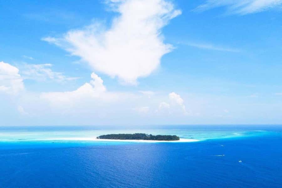 Mnemba Island, Jozani Forest, Kuza Cave, The Rock Restaurant - Key points to know before booking