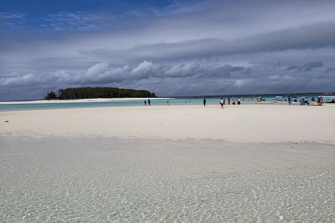 Mnemba Island snorkeling and Swimming with Dolphin - Who should book this Mnemba excursion?