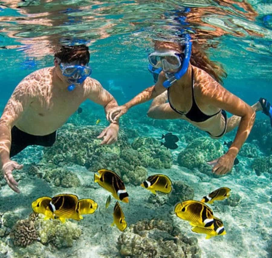 Mnemba island Swimming + snorkeling with dolphins adventure - Speedboat ride toward Mnemba