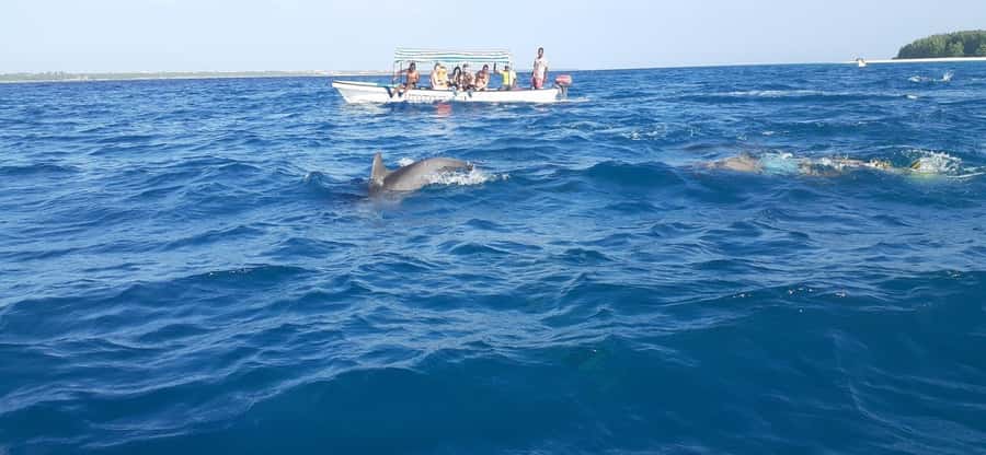 Mnemba island Swimming + snorkeling with dolphins adventure - Snorkeling above coral and fish