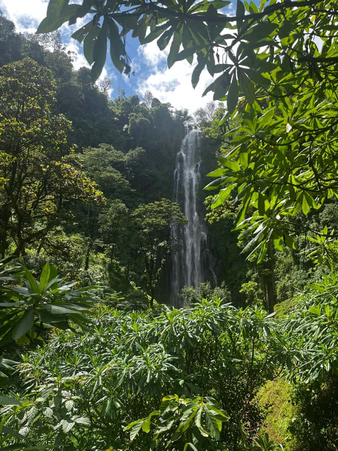 Moshi: A Day Tour To Materuni Waterfall - Is $42 Good Value?