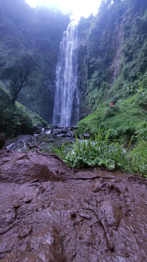 Moshi: A Day Tour To Materuni Waterfall - What to Pack for the Eight-Hour Day