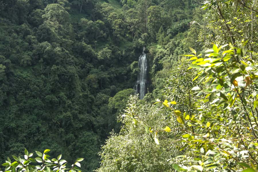 Moshi: A Day Tour To Materuni Waterfall - Who Will Enjoy This Materuni Day Tour?