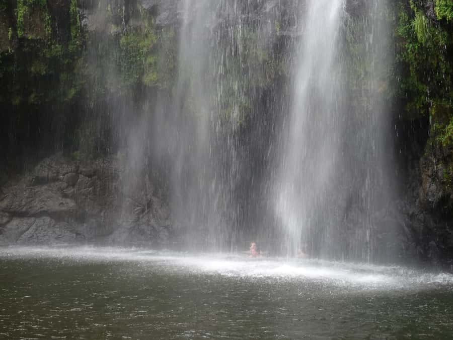 Moshi/Arusha: Chemka Hot Springs Materuni Waterfall Day tour - Is $84 a fair price?