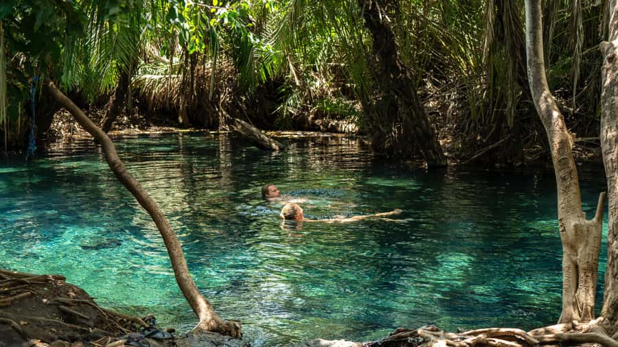 Moshi/Arusha: Chemka Hot Springs Materuni Waterfall Day tour - Who will enjoy this outing most?