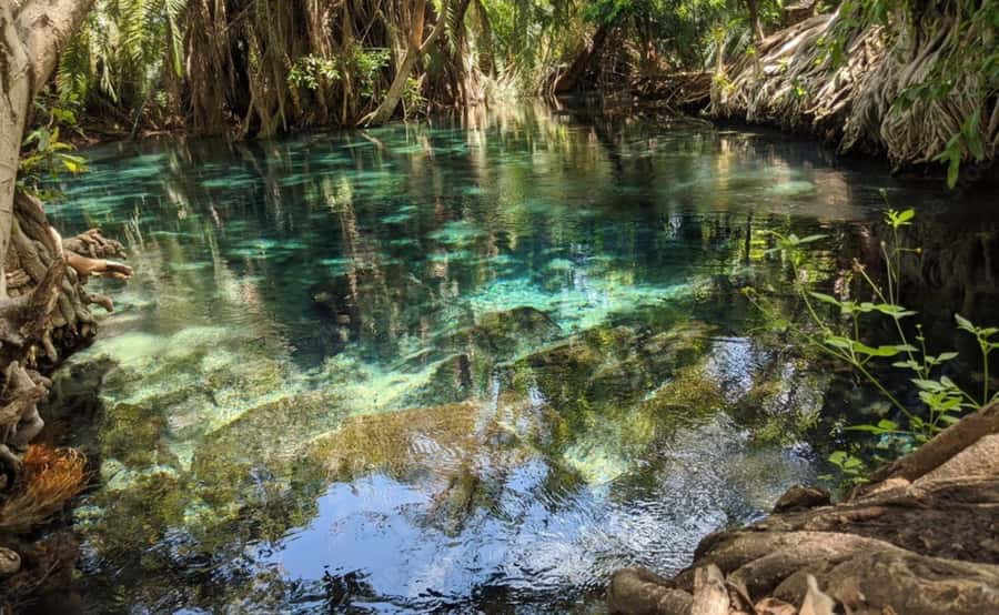 Moshi/Arusha kikuletwa Hot Springs Tour - Four Hours for Swimming, Lunch, and a Guided Walk