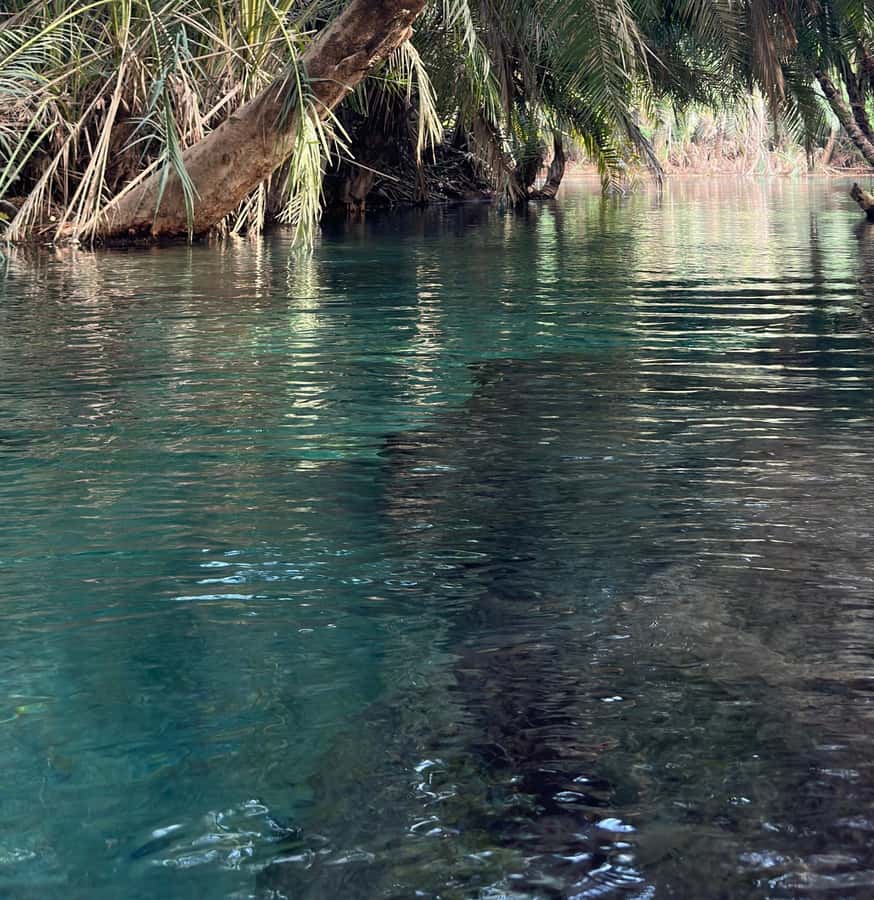 Moshi/Arusha kikuletwa Hot Springs Tour - Who Will Enjoy This Experience Most?