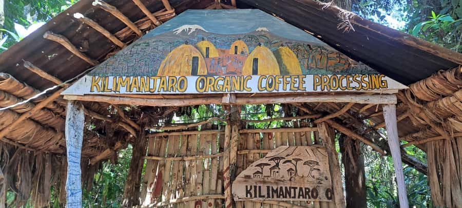 Moshi: Chagga Village Overnight with Second Day Options - Ngangu Hills and the search for Kilimanjaro views