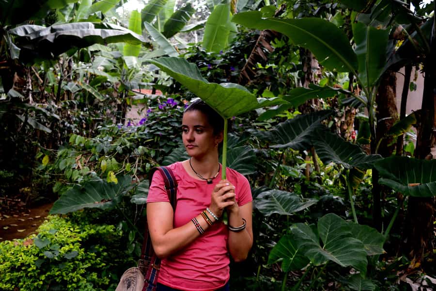 Moshi: Chagga Village Tour - Key points at a glance