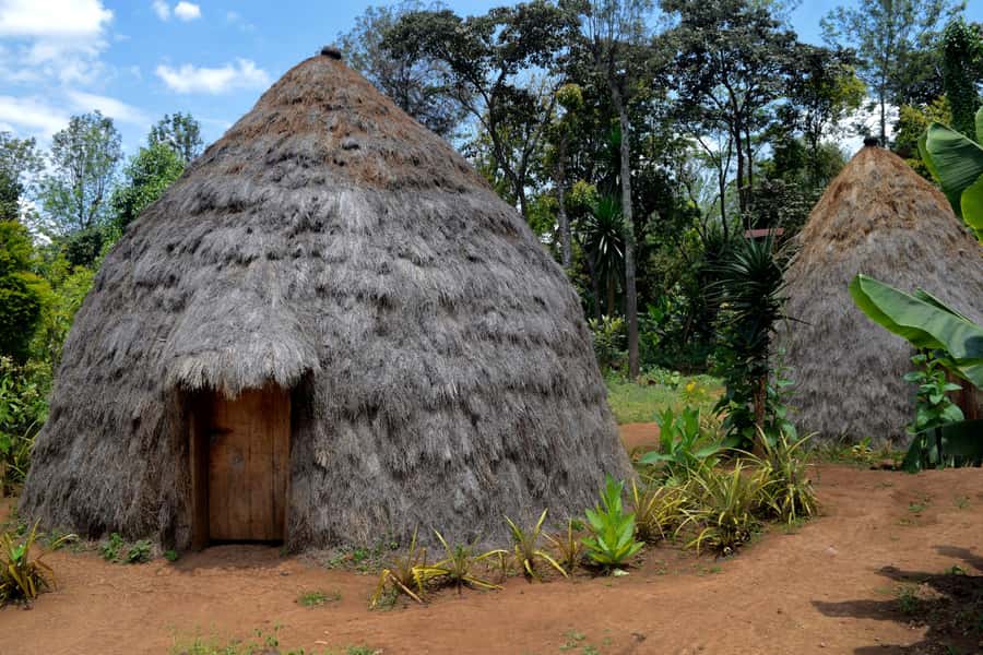Moshi: Chagga Village Tour - The Chagga Museum and everyday tradition