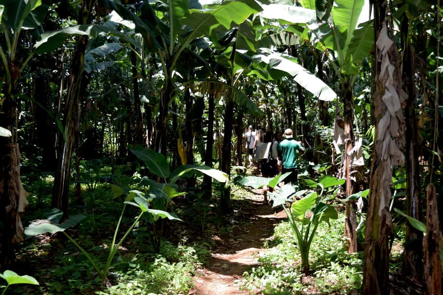 Moshi: Chagga Village Tour - Entering the Chagga caves