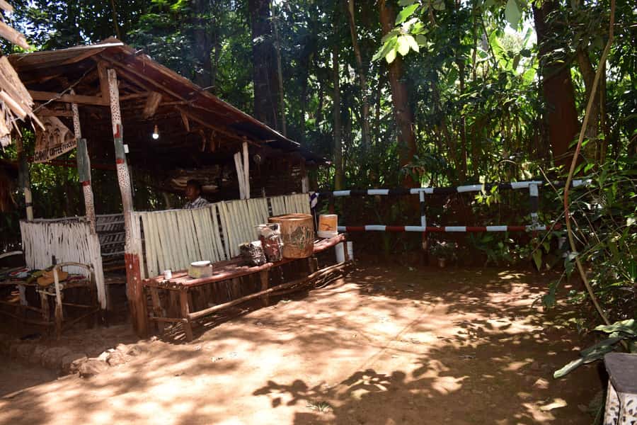 Moshi: Chagga Village Tour - Walking Ngangu Hills toward Ndoro Waterfalls