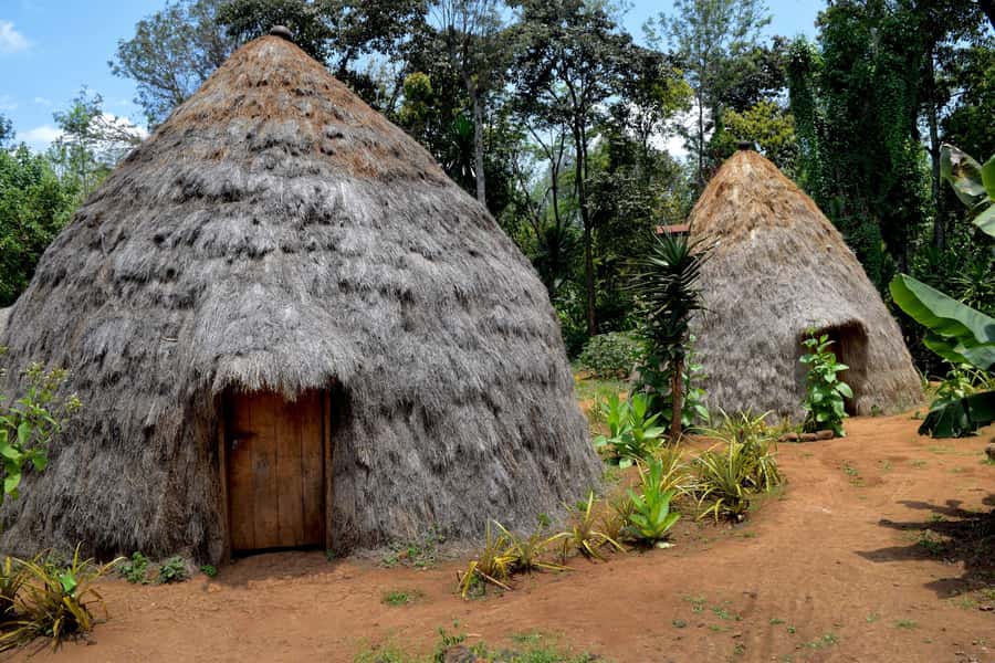 Moshi: Chagga Village Tour - Starting with coffee in Marangu Village