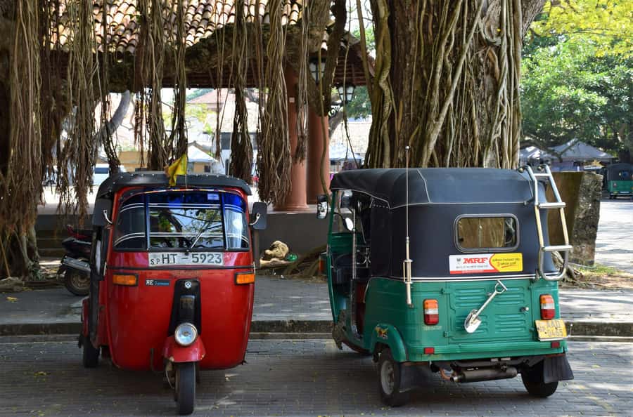 Moshi: Half-Day Town Tour with Lunch - Key points at a glance