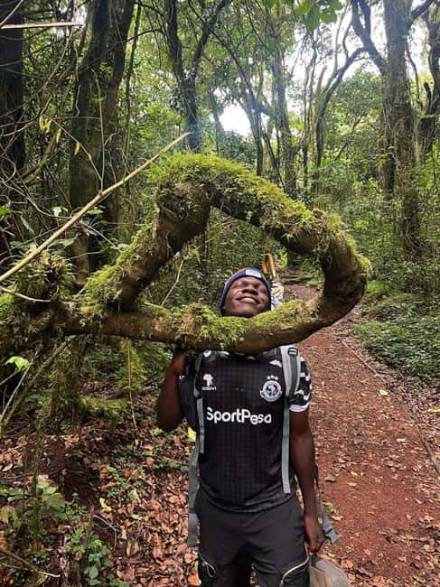 Moshi: Kilimanjaro Climb Marangu Route Guided Tour - Key Points Before You Book
