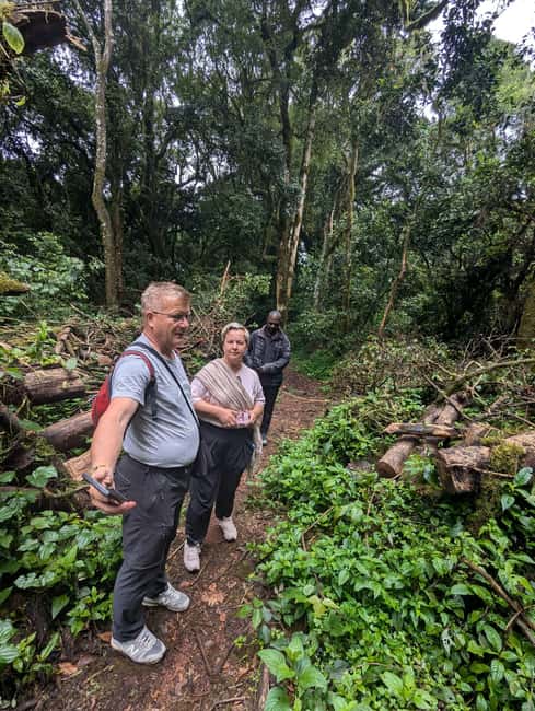 Moshi: Kilimanjaro Climb Marangu Route Guided Tour - What This One-Day Kilimanjaro Hike Really Offers