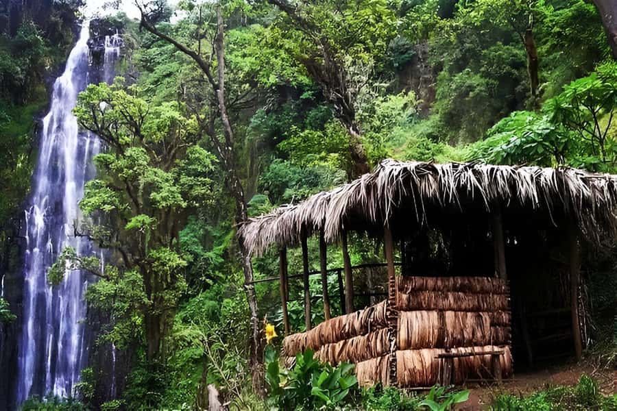 Moshi : Materuni Waterfall and Coffee Tour with Lunch - Key points to know before booking