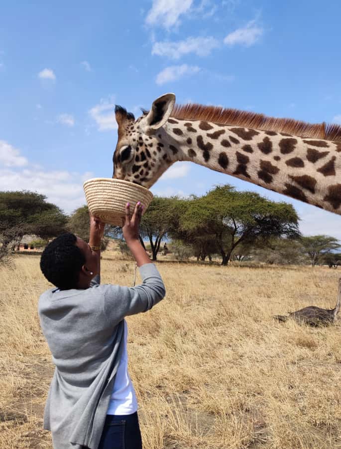 Moshi: Serval Wildlife Tour with food and drinks - What kind of wildlife day is this?