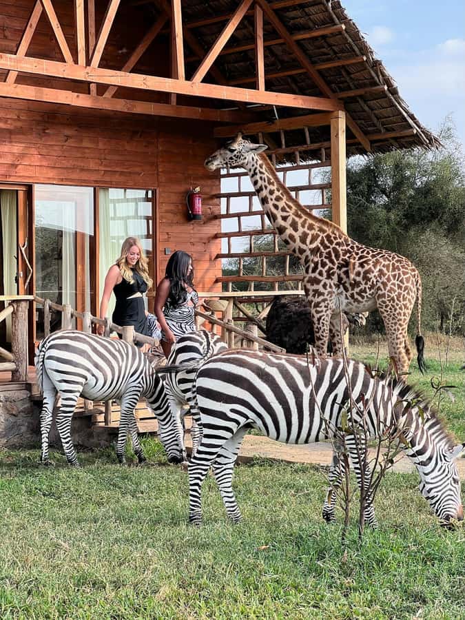 Moshi: Serval Wildlife Tour with food and drinks - Entering Serval Wildlife Sanctuary