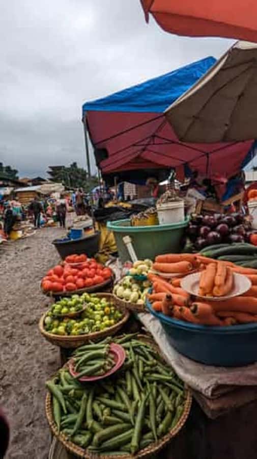 Moshi town 1 day tour - 9:30 AM in the central market