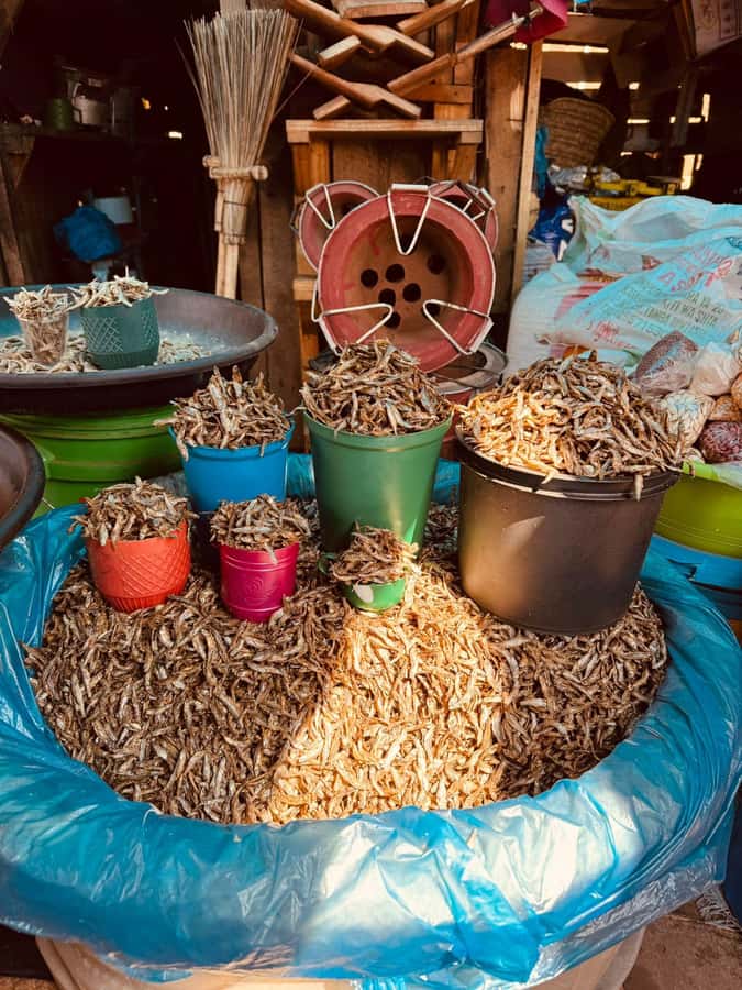 Moshi: Town tour and Local Markets tour - What the $25 price really covers