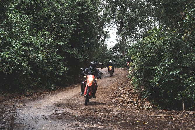 Motorcycle Safari - From city streets to open country