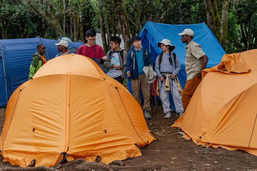 Mount Kilimanjaro: 7 Days Hike Lemosho Route - What the $1,960 price really covers