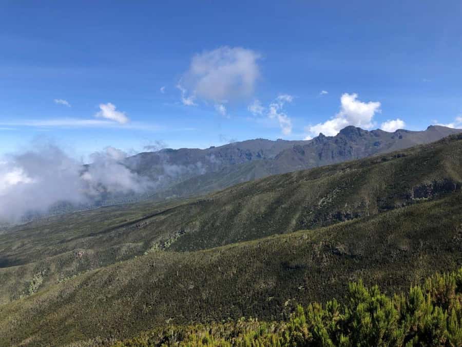 Mount Kilimanjaro Climbing in Tanzania Full-Day Trip - Maundi Crater and views toward Tanzania and Kenya