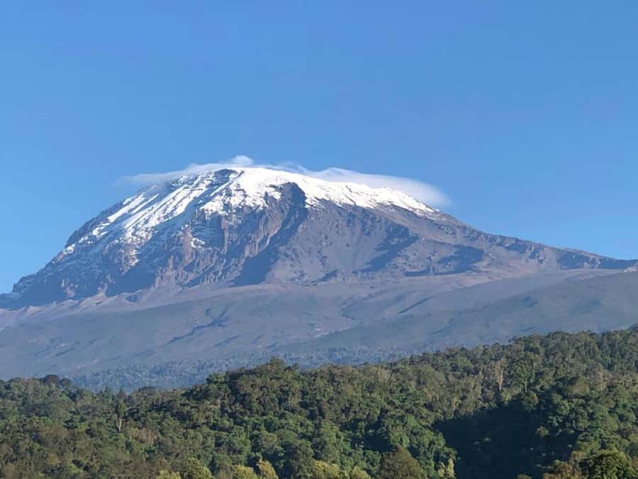 Mount Kilimanjaro Climbing in Tanzania Full-Day Trip - Preparing for six to seven hours on foot