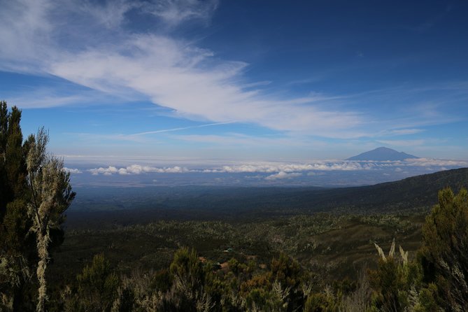 Mount Kilimanjaro Day Hike - Walking through Kilimanjaro’s lower rainforest